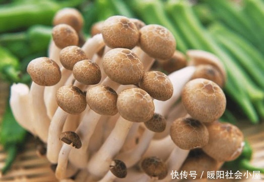 生病|夏天天热怎么过?常吃这5种食物可增强免疫力,身体强健不生病!