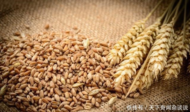 一款简单的草鱼窝料配方(草鲫鲤通杀)!