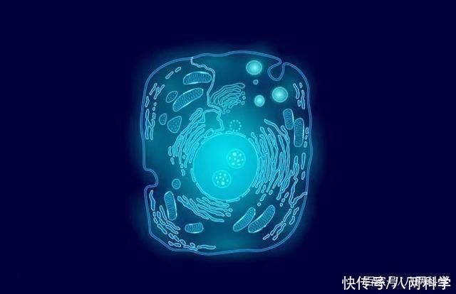 进化 科学家:人类是一系列进化的奇迹，其他星球极不可能存在智慧生命