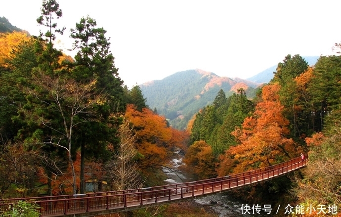 没有想到东京大都市，既然有如此好看的风景！