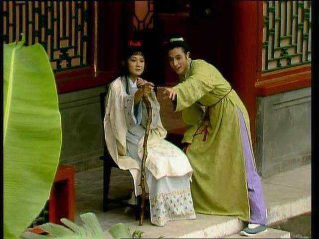 袭人#薛宝钗怀了贾宝玉的种,可她却早给宝玉生了大儿子