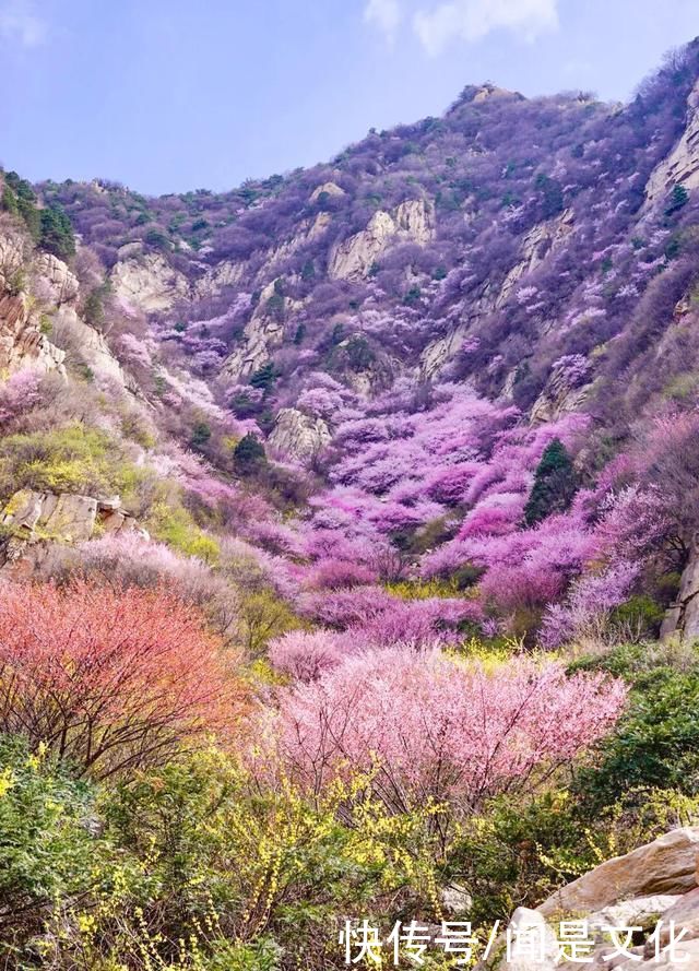 祁河散文:桃花依旧笑春风