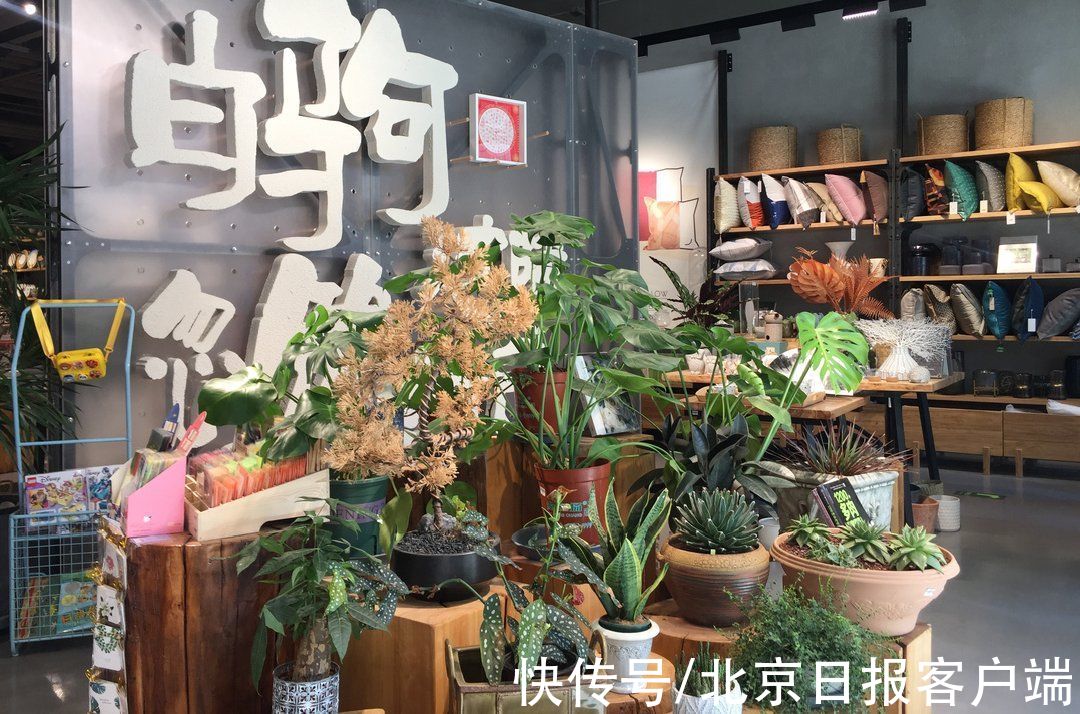 北京号|秋日一起读书吧，北京号带您打卡几家文艺书店