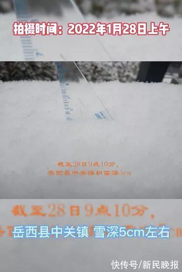 积雪|怕你不来，又怕你乱来，今天沪苏浙皖多少人在等一场雪