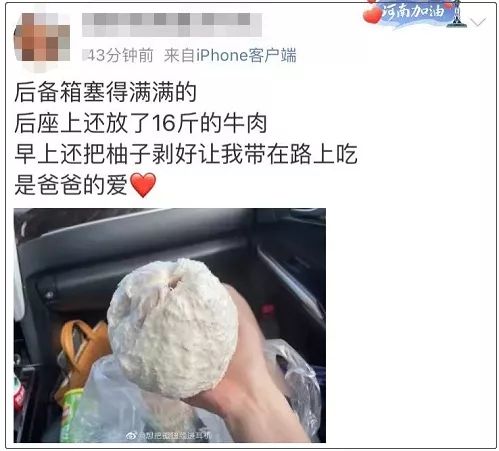 行李箱|后备箱又双叒叕上热搜，网友：像是回家进货