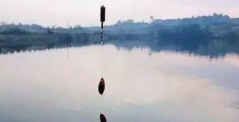 钓法|夜钓鲤鱼,真的不用吹,这套钓法最管用,大鲤鱼接连入护