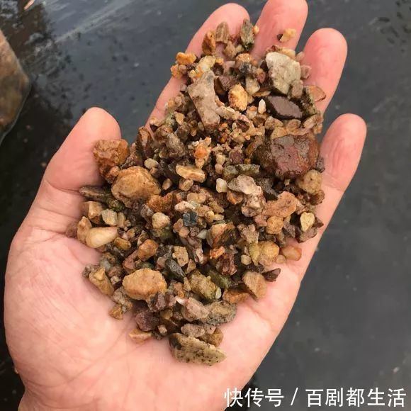 养花必备“排水物”,解决养花人的大难题!