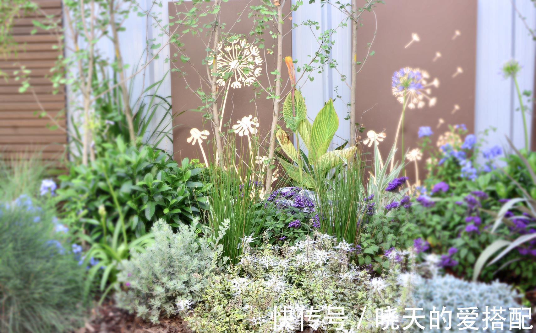 治愈系|小空间庭院花园,正确的绿植搭配技巧,让小院落变身治愈系小花园