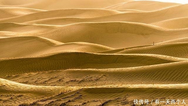 黄河是怎样的？