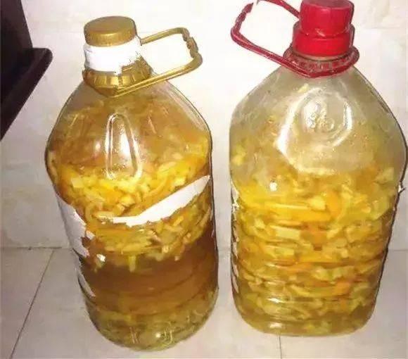 发酵|氮磷钾肥在家就能自制,方法简单肥效好,只要动动手肥料钱都省了