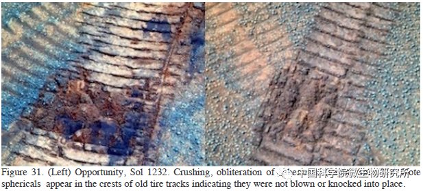 非生物 火星上存在真菌吗？