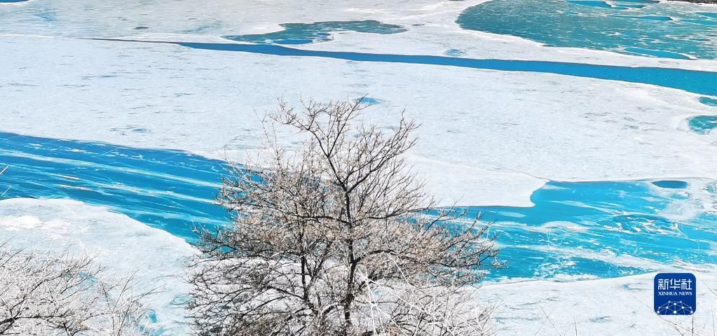 沈虹冰|冬日高原水库