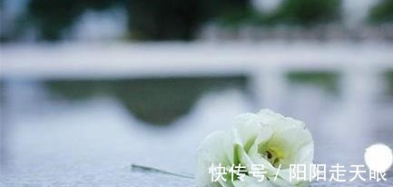 终结|听说过寿命计算器吗？据说准确率高达98%，就像电影演的那般神奇