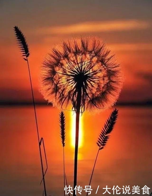 【诗词鉴赏】冬天来了,乡愁更浓了,10首思乡的诗词,让人怎能不思乡!