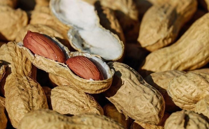 抗癌|常吃花生可以抗癌，为何专家却说如此吃是“喂养”癌细胞