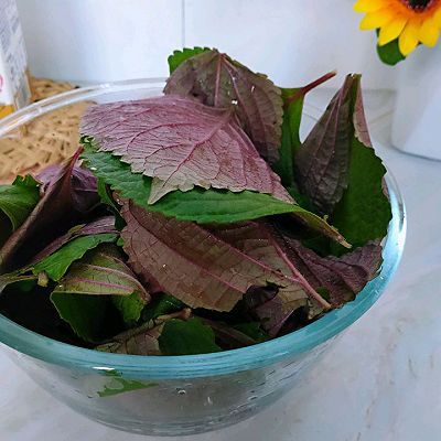 光鮮綠蔬宅配蔬菜 打開即食 植物工廠 一家三口生活紀錄 痞客邦