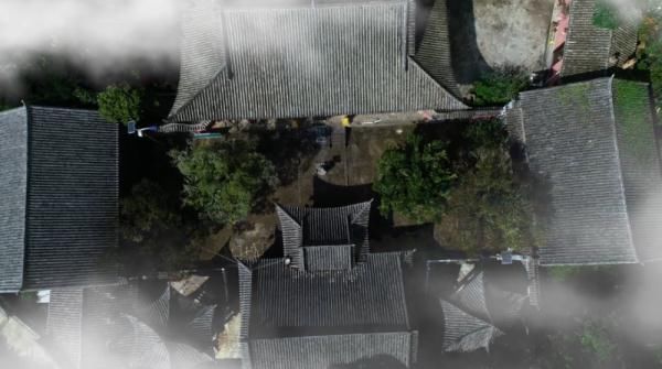 北回归线|文山三七宣传片——《时光里的三七》