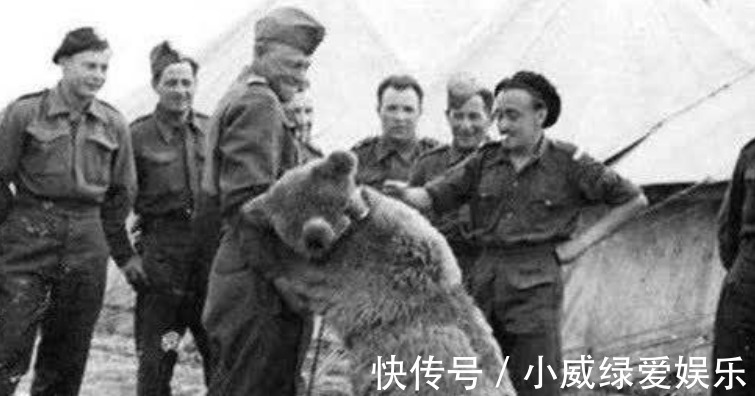 铜雀台赋|夫妻生活多久一次最好?张医生举例说明,简直太形象了!