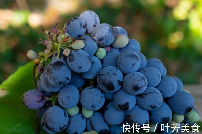 规矩|明日中伏，防暑降温有讲究，饮食少苦多辛加点酸，不懂规矩要吃亏