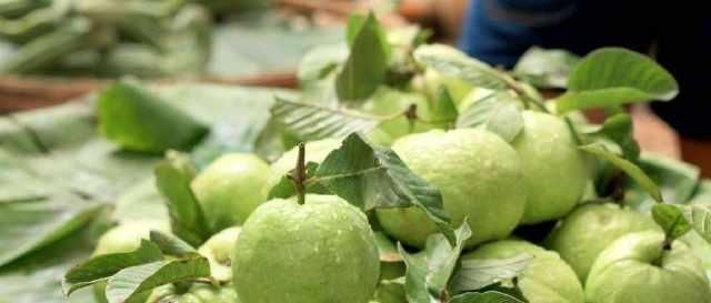 南方特有的水果,北方人不敢下口,南方人却爱不释口