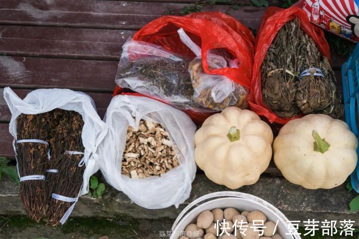 打卡文成荷花节、太公祭，遇见向往的文成！|文成乐 不思“暑” | 文成