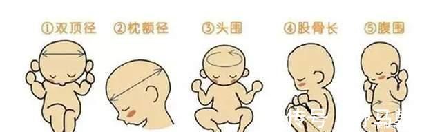胎儿|想顺产胎儿的双顶径有何要求?最好别超出此范围,否则分娩风险大