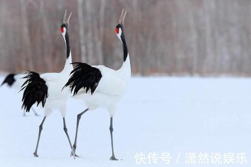 中老年人|过了60,自私的父母最伟大!此文很有意义,希望中老年人认真读读