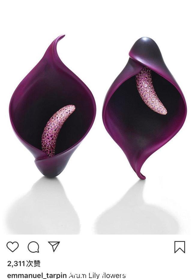 年仅28岁的法国人Tarpin为何成为当今最炙手可热的珠宝设计师