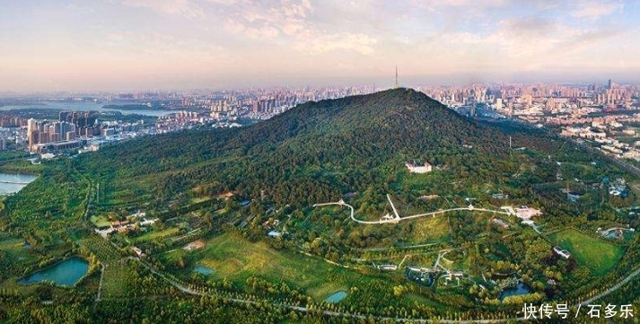 合肥一大型公园走红,占地面积1千万平方米,