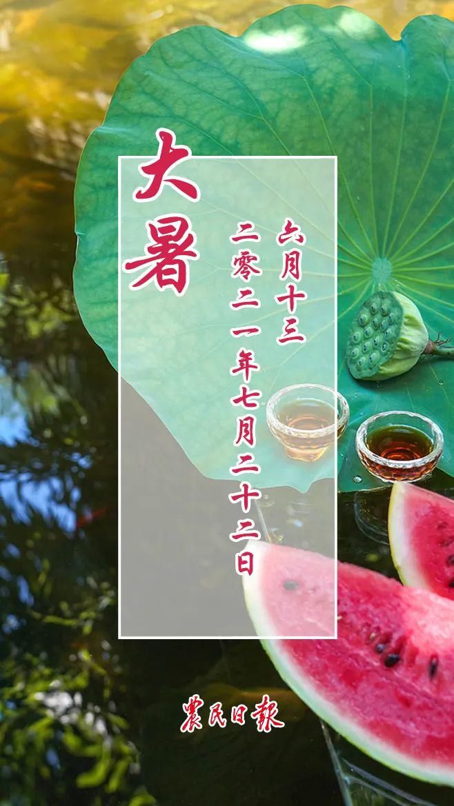 节气|大暑｜土润溽暑 大雨时行