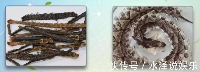涌泉穴|牢记中风9大先兆,识别中风只需10秒!1个妙招,远离中风