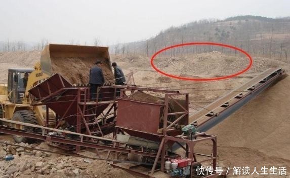 自制|工地上的这“2物”，是养花的宝贝，随手捡点回家，营养土不用买！