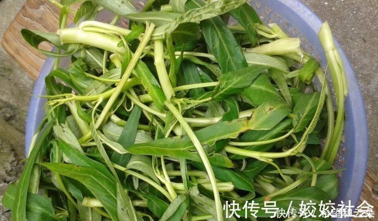 碱性蔬菜|夏季“碱性蔬菜”别错过,钙是鸡蛋的6倍,补钙质,骨骼越来越强壮!