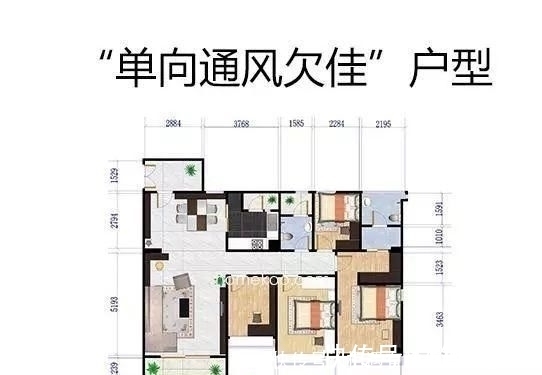 黄金|如果你的房子这四个特征都中了,那恭喜你,你买到“黄金户型”了