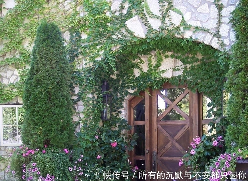 最适合种在家门口的5种花,漂亮,大气,还很好养