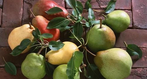  养颜|女性过了40岁常3种食物，美容养颜、滋润肌肤，早吃早健康！