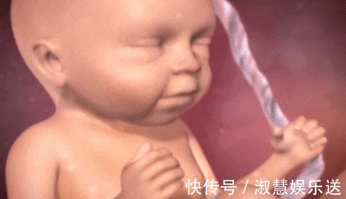 胎儿|除了睡觉,胎儿在妈妈肚子里干啥呢每个妈妈都应该看看