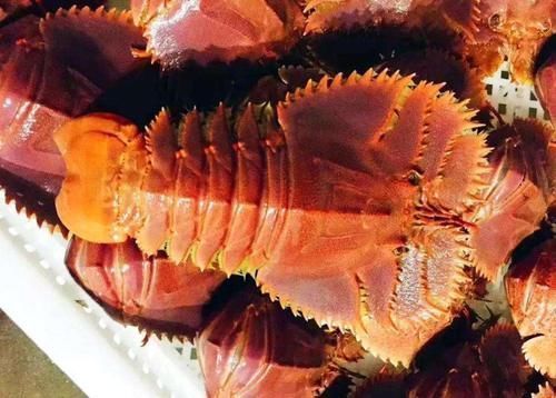 a374|和女友到柬埔寨,吃了2只“拖鞋龙虾”,结账时却“傻眼”了