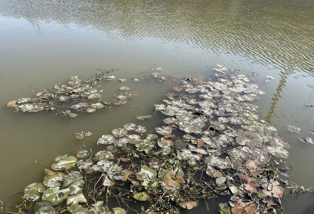 冬季人舒服鱼却难钓,用红虫都没口?不是饵的事,是你钓法有问题