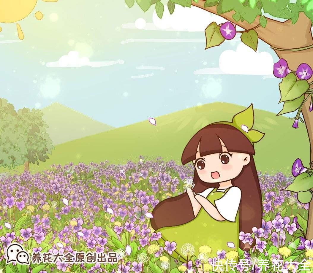 这些小野花春天开得正美，下次见到挖一颗，再也不用买花了