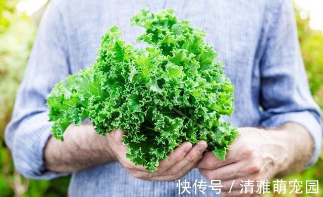 逍遥丸|逍遥丸与更年期,更年期可以吃逍遥丸吗?注意:4类人不能吃