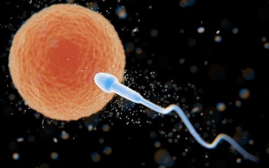 同房|想要快速怀孕,早上和晚上,什么时候更易成功希望你没弄错!