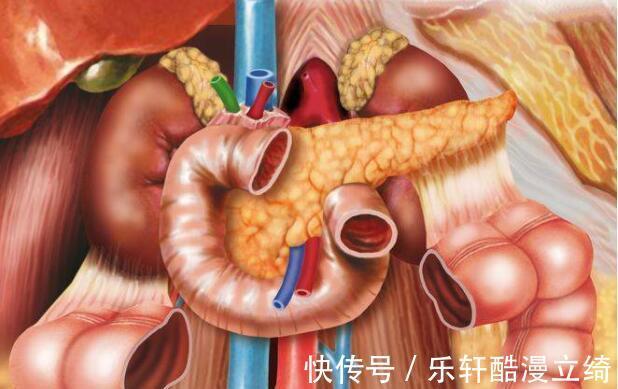 患者|胰腺癌被称为“癌中之王”,为何如此猖狂看完你就知道了