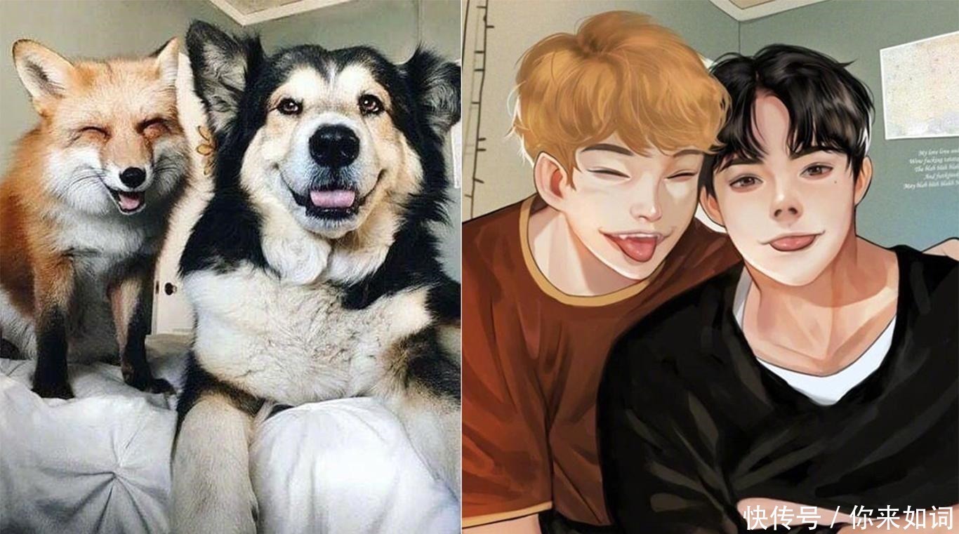 画师们|当动物被画师二次元化，可盐可甜可帅气，还是纸片人更让人心动