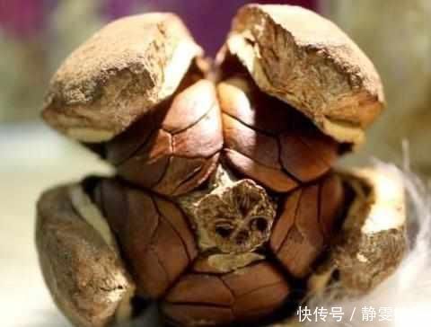 肝毒的克星找到了,天然肝脏“解毒王”,每天