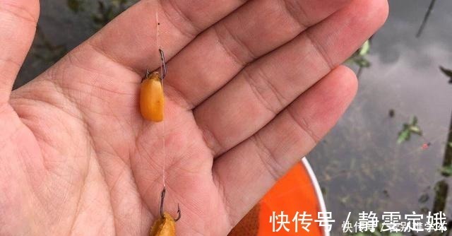 线径|子线互相缠绕怎么办要想有效避免，还得这6招