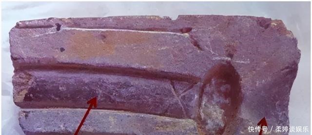  霸主|夏人从哪里来为什么能取得霸主地位