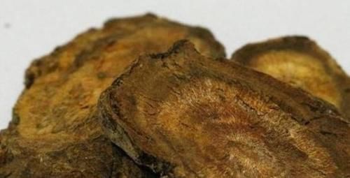 中草药|被名字耽误的一种草本，曾当野草处理，却不知它是“救命王”