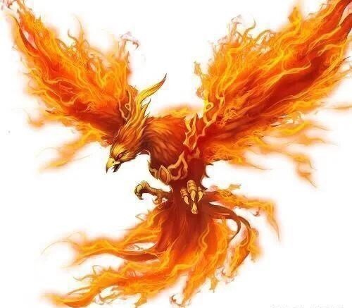 这些神兽来头大:左青龙右白虎前朱雀后玄武,代表着什么?