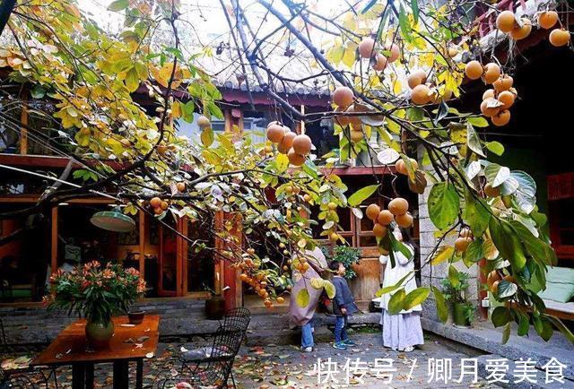 牡丹花|家有五树,儿孙都富!有院子建议栽5种树,看花,收果,寓意吉利